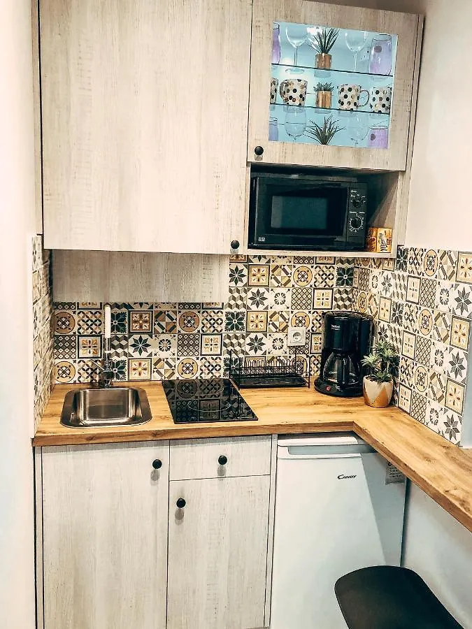 Apartmán Royal Flats Old Town Krakov Polsko